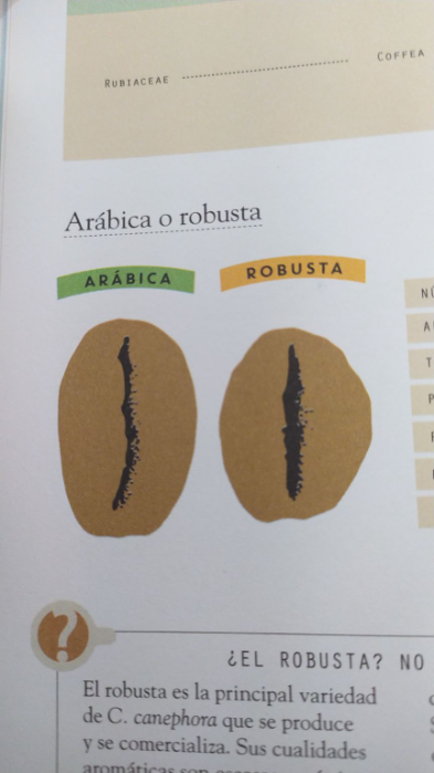 Aquí estas las dos especies de café que más se comercializan:
Arábica: mucho más aramotico y floral, pero con menos cafeina, su producción es más compleja.
Robusta: un café sin esencia, no es aromático, con mucha más cafeína, es muy usado para la producción de cafés instantaneos, su producción es muy fácil en comparación con el arábica.