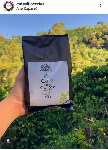 Bourbon Amarelo ! 1.200 Metros de Altitude . Sem agrotóxico ! 100% Arábica .