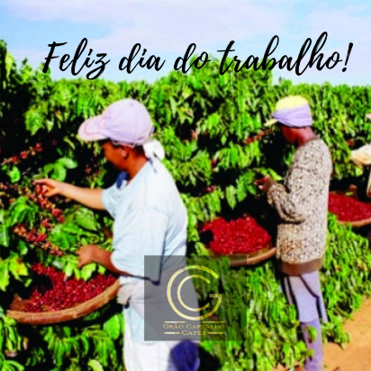 Coffee photo review barista cafe specialty coffee