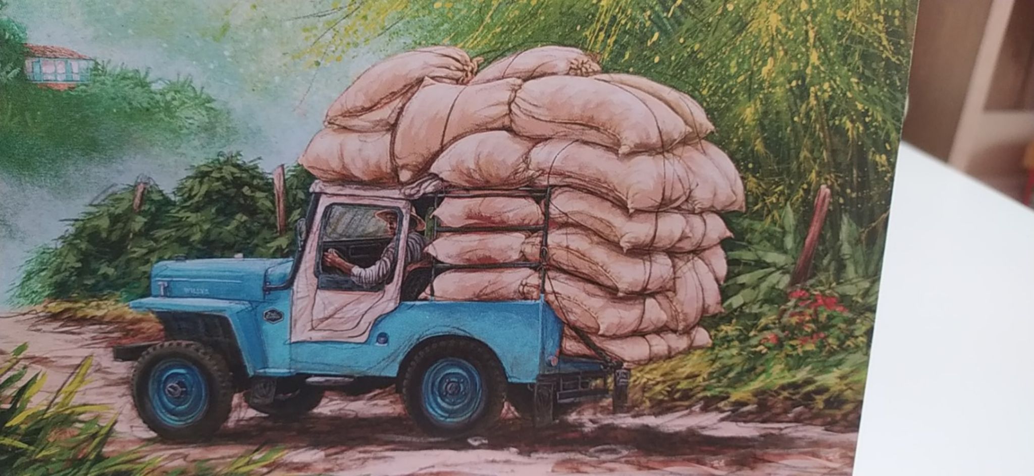 Cargado de sueños va el Jeep, llevando la cosecha del más delicioso fruto, el café.