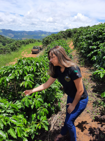 #TBT Lajinha-MG Matas de Minas.