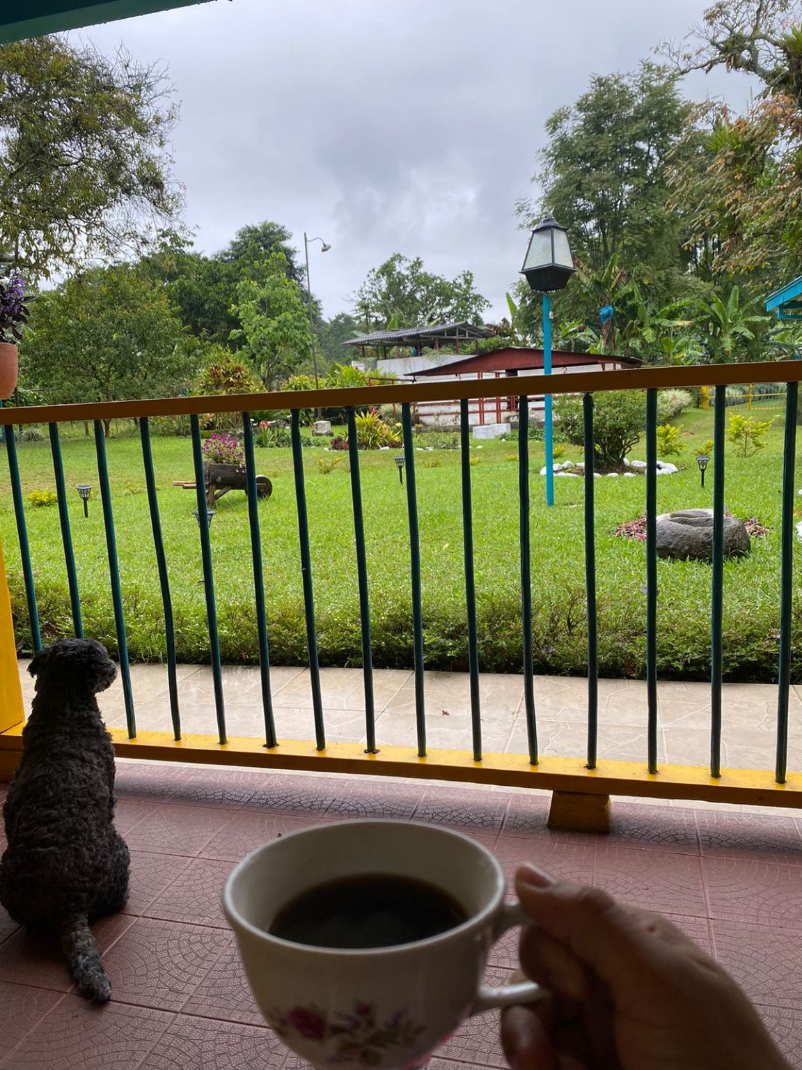 Este es temprano, apenas me despierto en cualquier lugar y me dicen que hay café me lo tomo. 6:30.