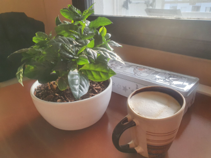 #aeropress #coffee #jonasraindl #stayhome #stayhealthy