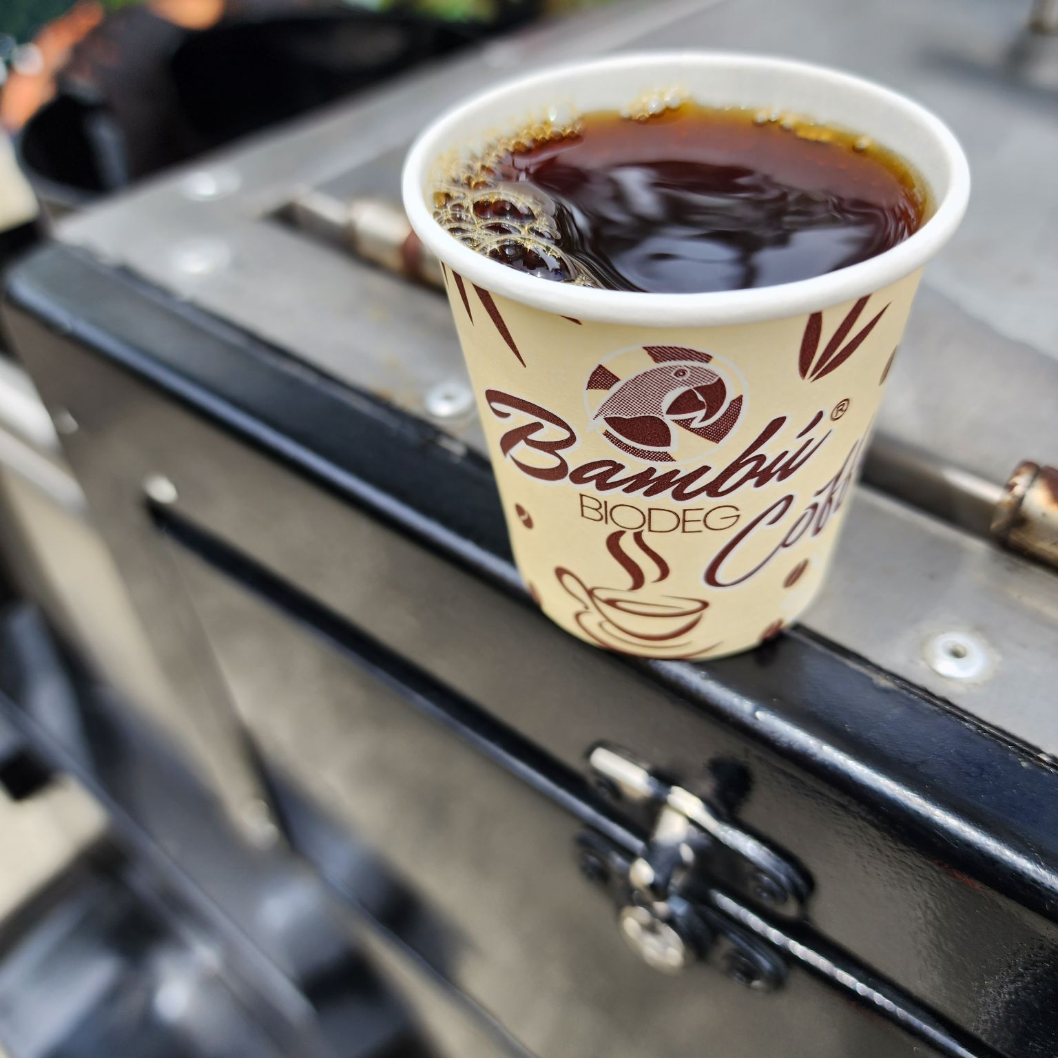 A donde vaya debo buscar mi buena taza de café.