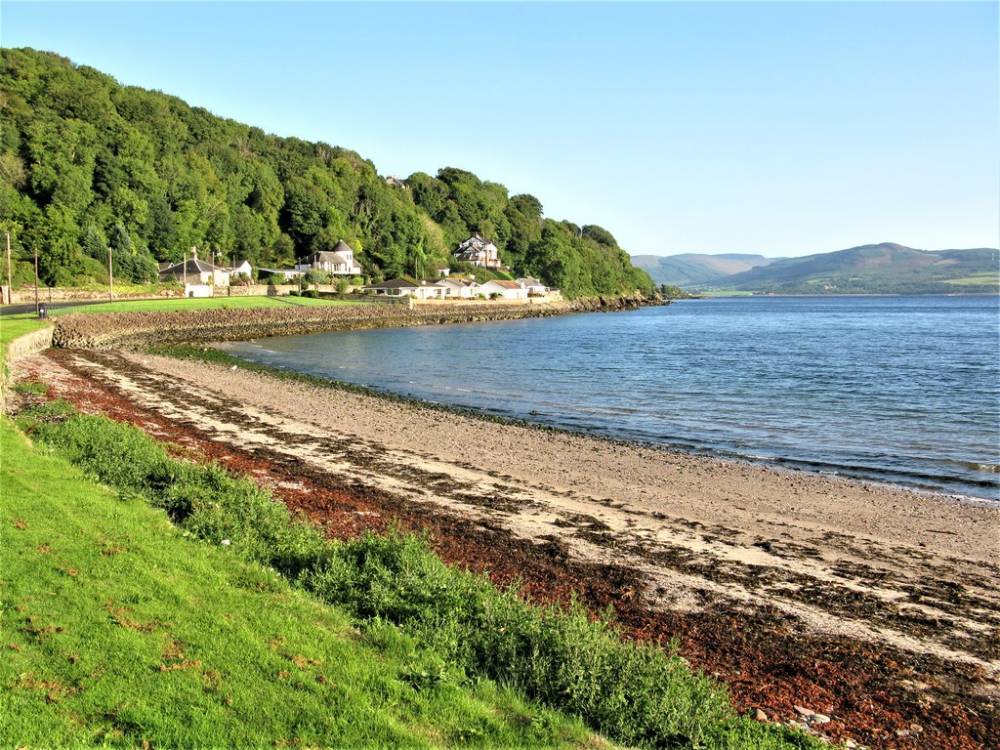 The Bute
