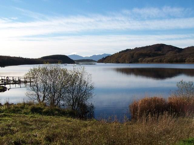 The Bute: Wild and Free