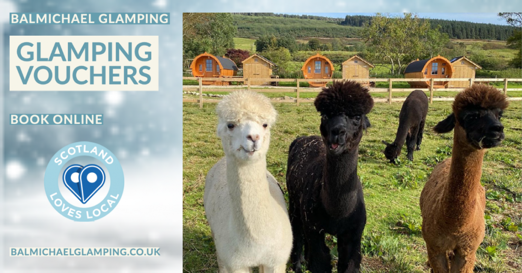 Alpaca Glamping