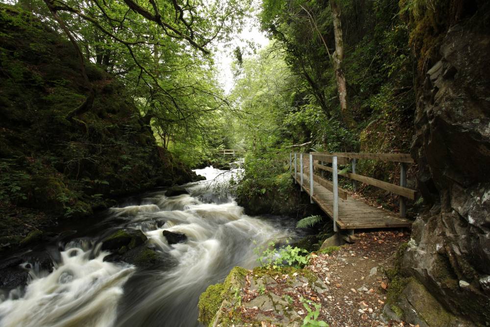 The River Doon And Ness Glen, © VisitScotland