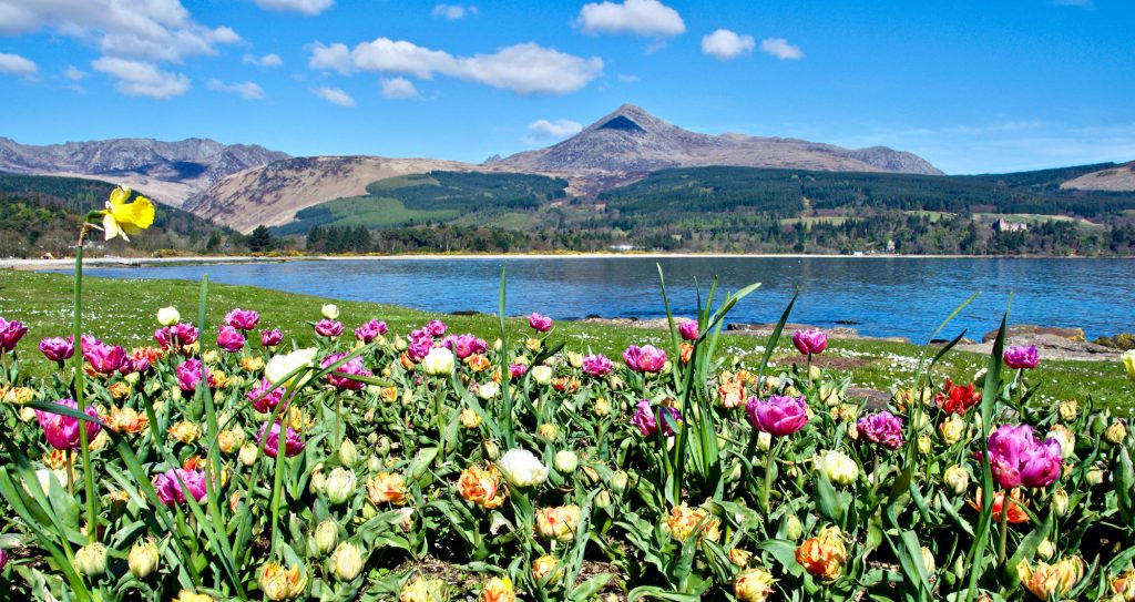 Arran – The isle for all ages