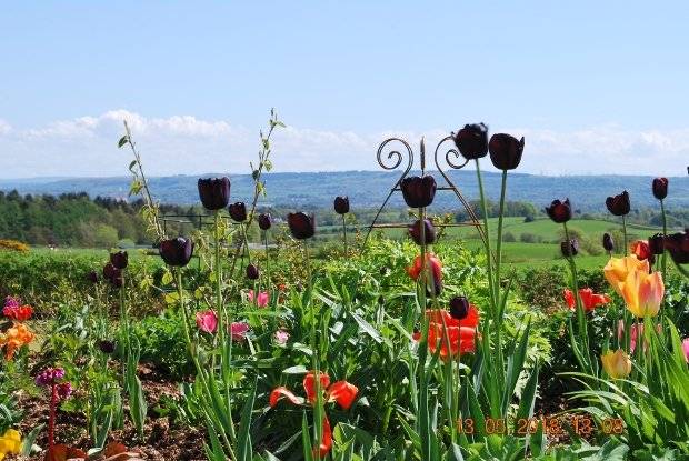 Charity Garden Opening - Wraes