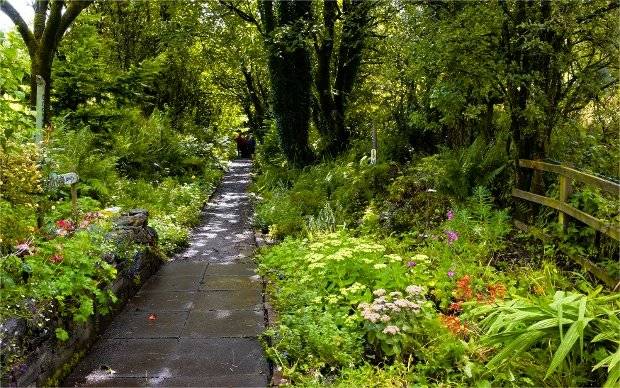 Charity Garden Opening - Barrmill Community Garden