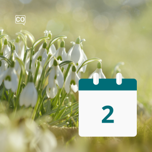  Febrero: Febrero (Español)