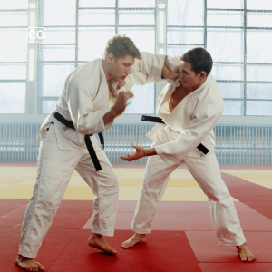  El karate: El karate (Español)