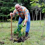 Jaime David siembra un árbol en honor al natalicio de su madre Dedé