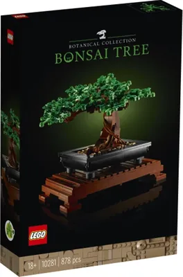 Bonsai Tree