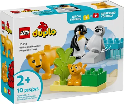 Wild Animal Families: Penguins & Lions