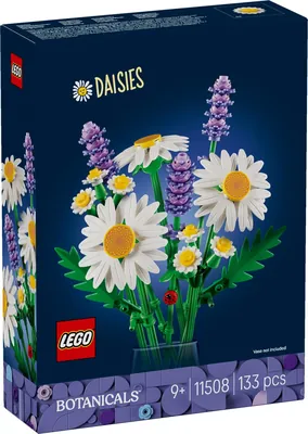 Daisies