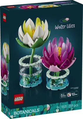Water Lilies