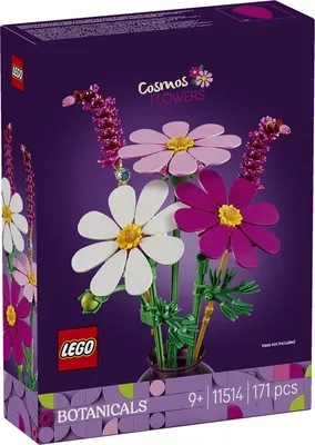 Cosmos Flowers