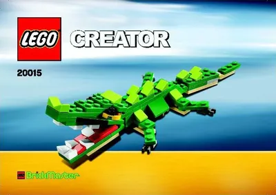 Alligator