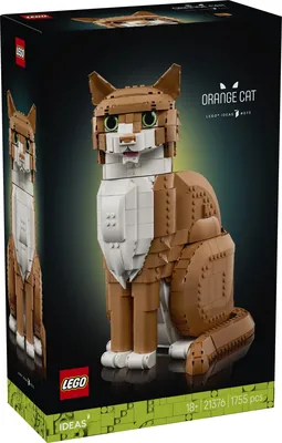 Orange Cat