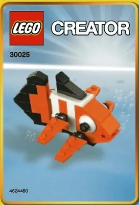 Clown Fish