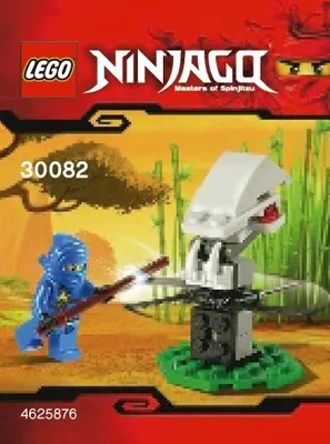 Ninja Training