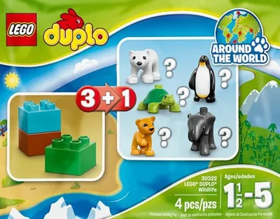 Wildlife