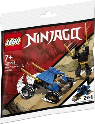 Mini Thunder Raider