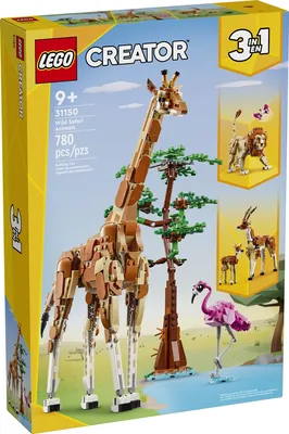 Wild Safari Animals