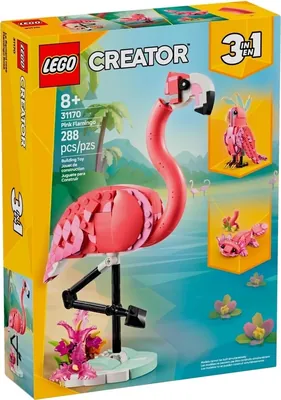 Wild Animals: Pink Flamingo