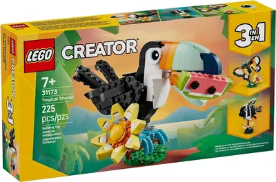Wild Animals: Tropical Toucan