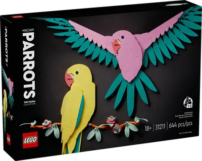 The Fauna Collection – Macaw Parrots