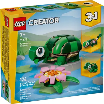 Turtle with a Water Lily Flower