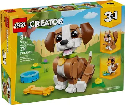 Cute Animals: Playful Puppy Dog