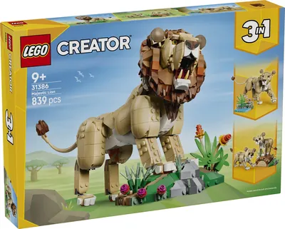 Wild Animals: Majestic Lion