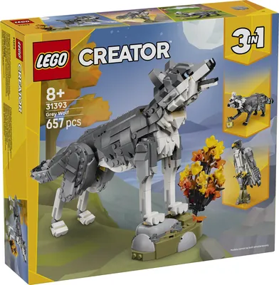 Forest Animals: Gray Wolf