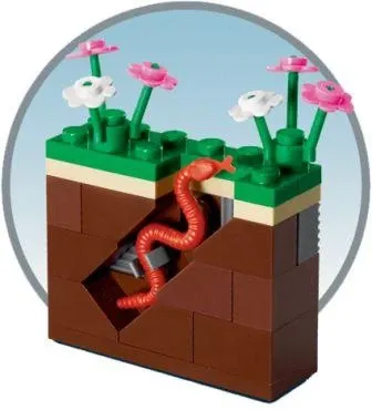 Worm and Earth