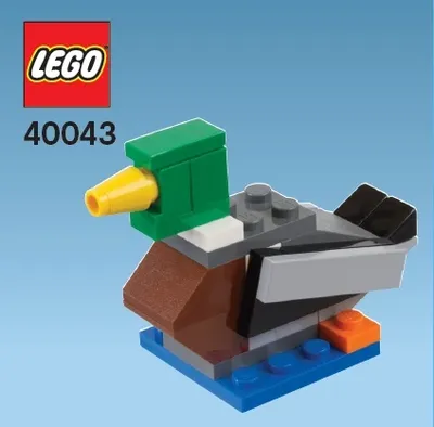 Duck
