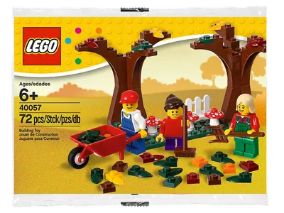 Fall Scene