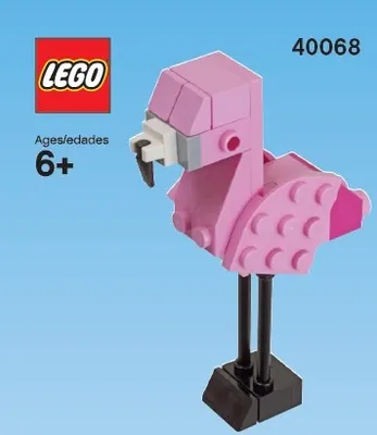 Flamingo