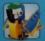 Parrot