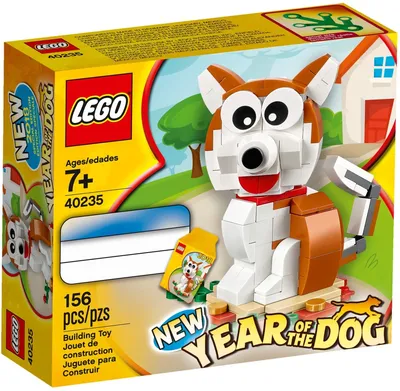Year Of the Dog