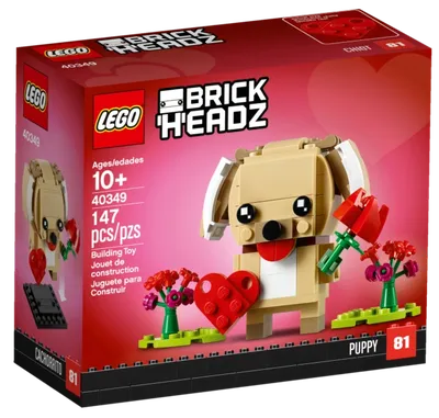 Valentine's Puppy