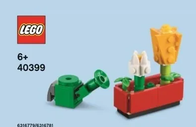 Flowers and watering can