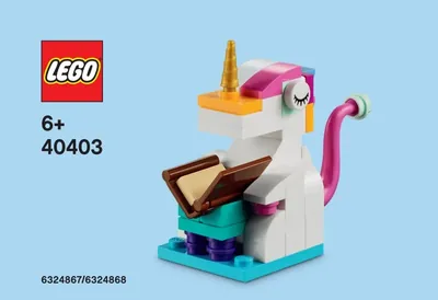 Literacy Day Unicorn