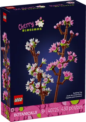 Cherry Blossoms