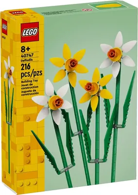 Daffodils