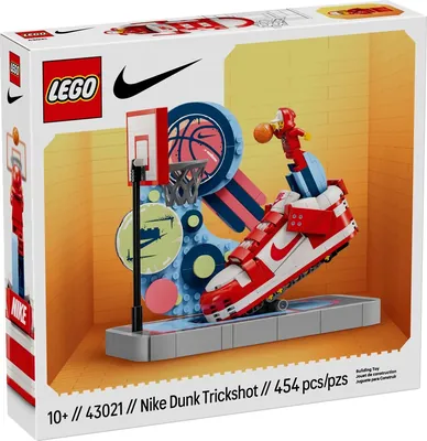 Nike Dunk Trickshot