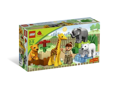 Baby Zoo